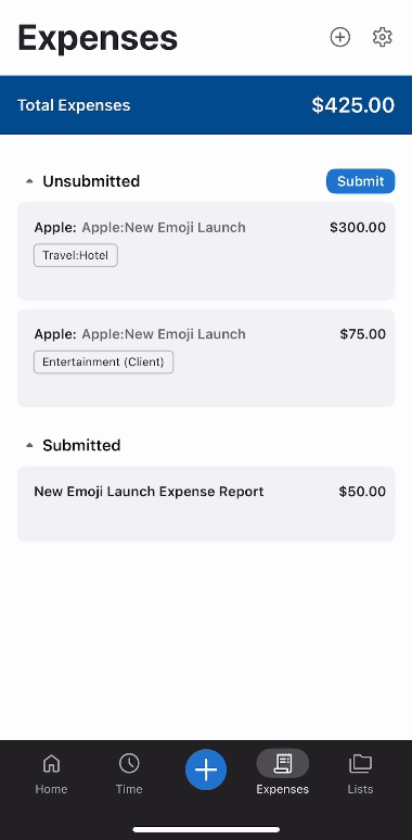 submit expenses.gif