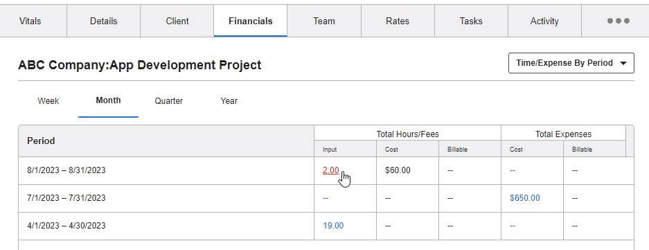 ProjectFinancials_Input.png